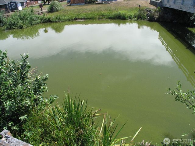 34500 G Street, Ocean Park, WA 98640