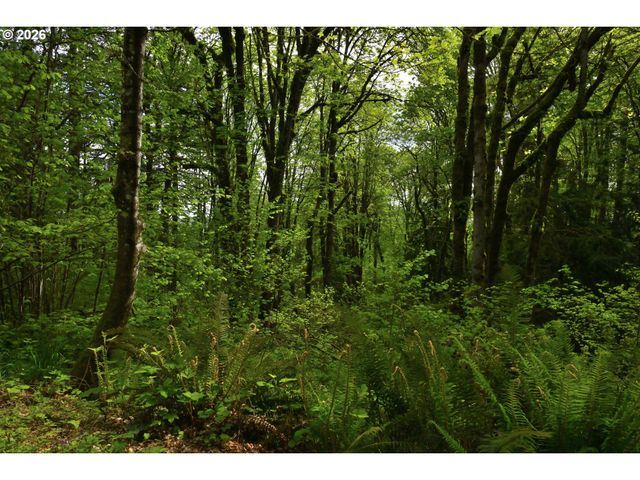 0 Se Maple Hill Ln, Happy Valley, OR 97086