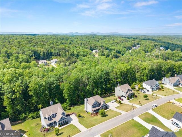 176 Whelchel Valley Drive, Dawsonville, GA 30534