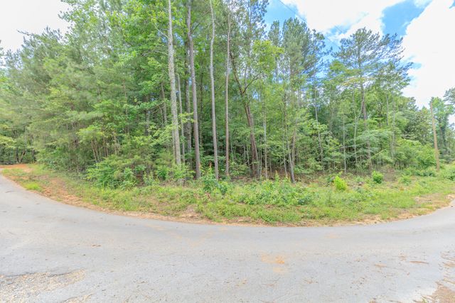 0 Wallaceville Cemetery Road, Chickamauga, GA 30707