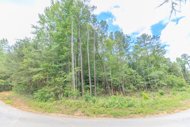 0 Wallaceville Cemetery Road, Chickamauga, GA 30707