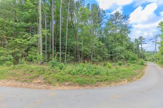 0 Wallaceville Cemetery Road, Chickamauga, GA 30707
