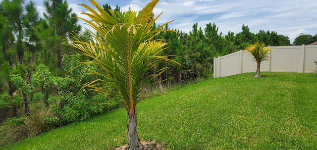 4227 Broomsedge Circle, West Melbourne, FL 32904