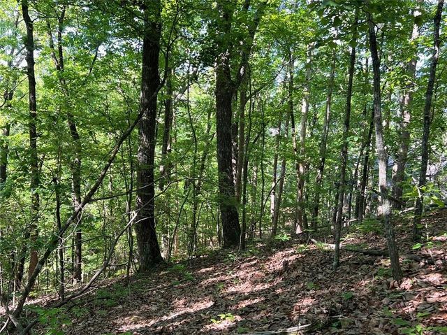 3285 Wood Poppy Drive, Jasper, GA 30143