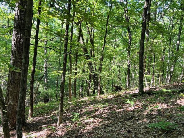 3285 Wood Poppy Drive, Jasper, GA 30143