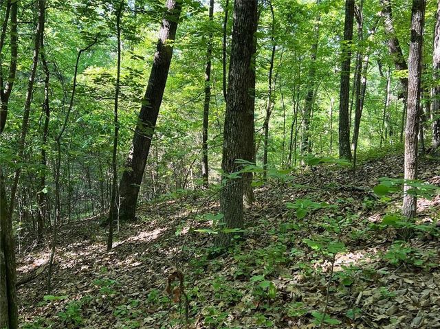 3285 Wood Poppy Drive, Jasper, GA 30143