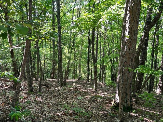 3285 Wood Poppy Drive, Jasper, GA 30143