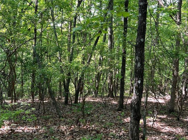 3285 Wood Poppy Drive, Jasper, GA 30143