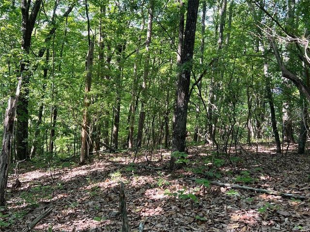 3285 Wood Poppy Drive, Jasper, GA 30143