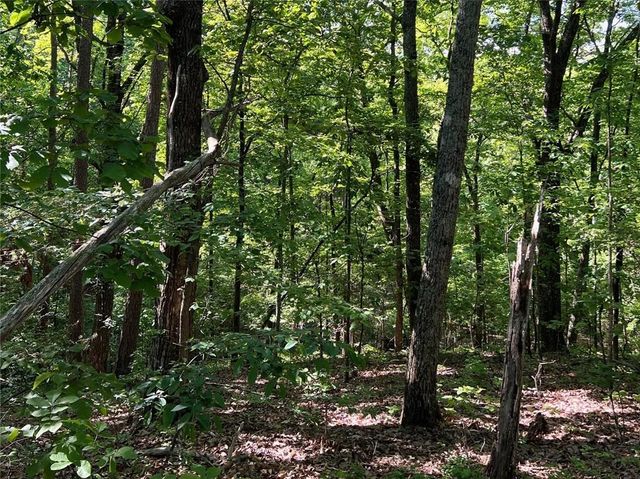 3285 Wood Poppy Drive, Jasper, GA 30143