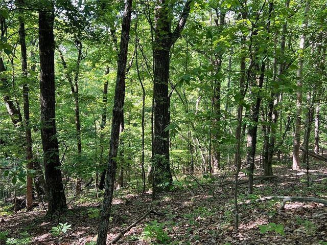 3285 Wood Poppy Drive, Jasper, GA 30143