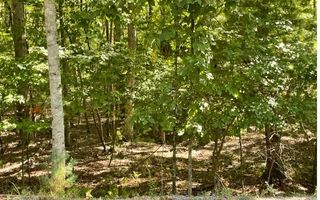 8 AC Payne Way, Blairsville, GA 30512