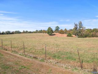 99+/- Acres Hobbs Loop Road, Ardmore, AL 35739
