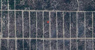 Tbd Iowa Avenue, Hawthorne, FL 32640