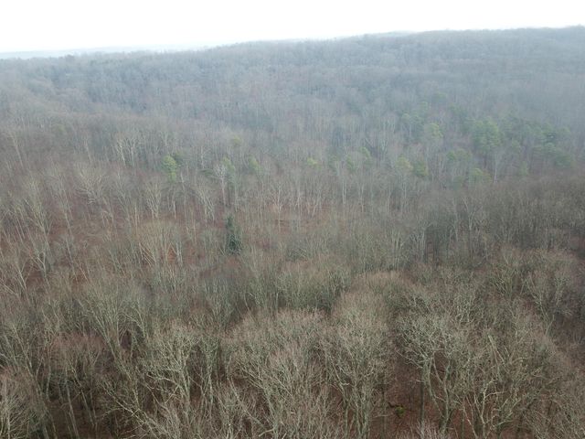 12001 W Buck Run Road, Rockbridge, OH 43149