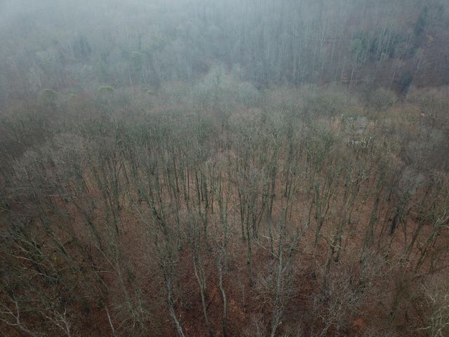 12001 W Buck Run Road, Rockbridge, OH 43149