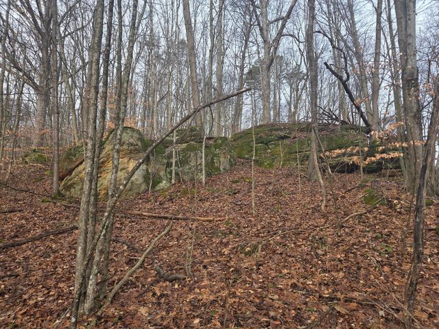 12001 W Buck Run Road, Rockbridge, OH 43149