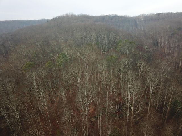 12001 W Buck Run Road, Rockbridge, OH 43149