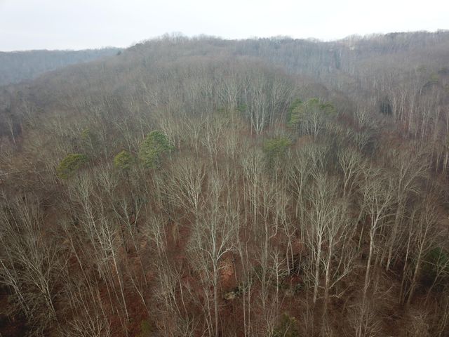 12001 W Buck Run Road, Rockbridge, OH 43149