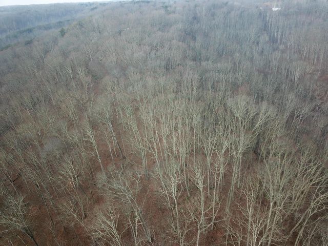 12001 W Buck Run Road, Rockbridge, OH 43149