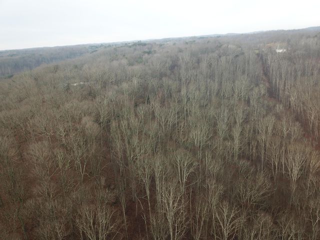 12001 W Buck Run Road, Rockbridge, OH 43149