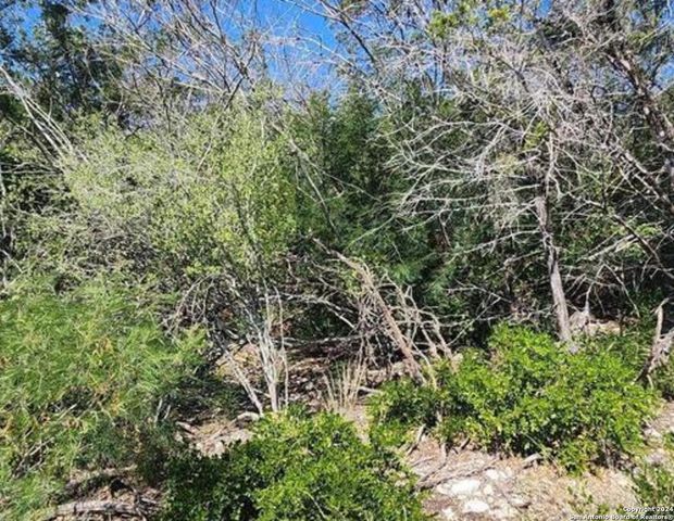68 County Road 2651, Rio Medina, TX 78066