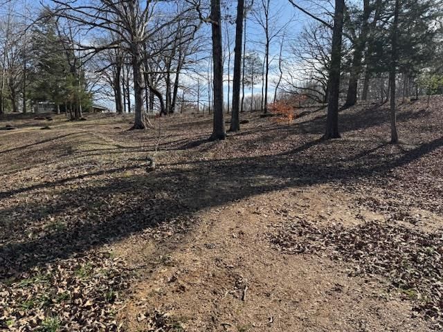 9465 125 HWY S, Middleton, TN 38052