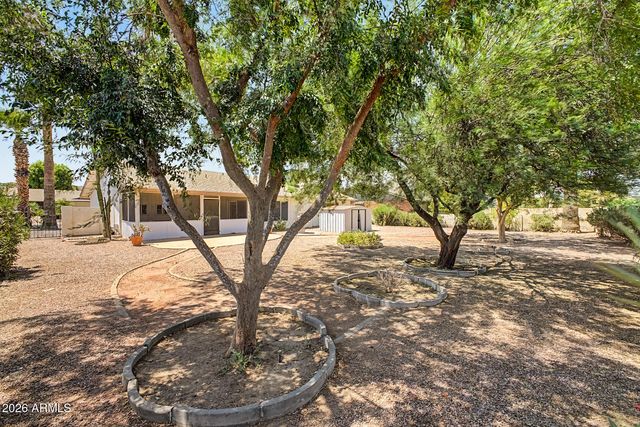 12011 S TOMI Drive, Phoenix, AZ 85044