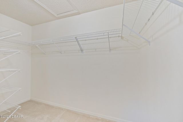 904 Ashmeade Court, Port Orange, FL 32127