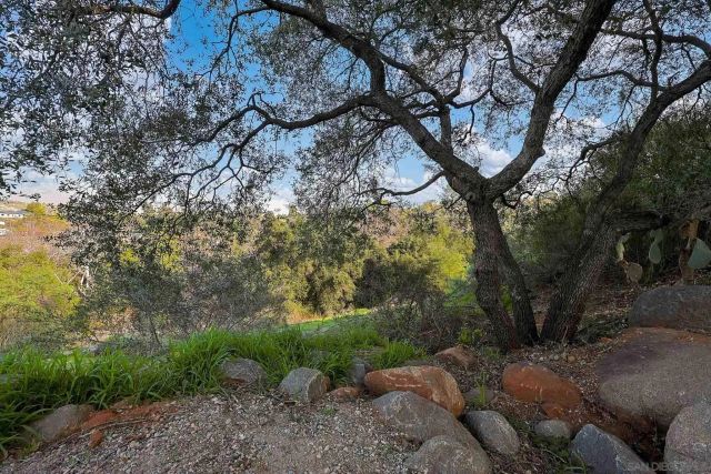 1392 Nancy Lee Ln, Alpine, CA 91901