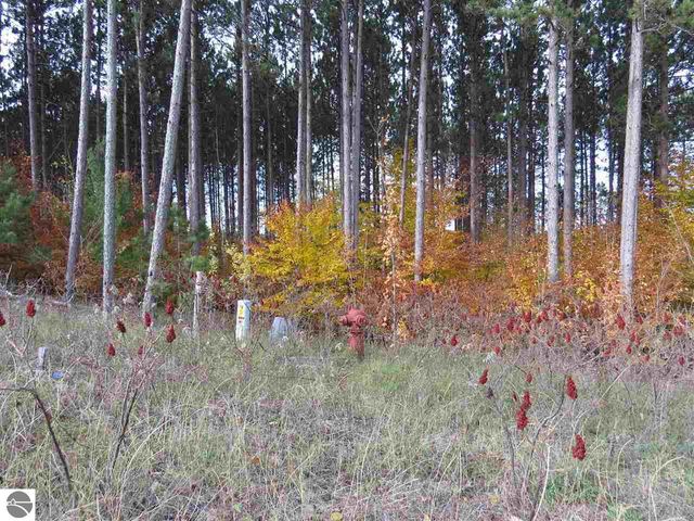 Lot 78 Eden Street, Kingsley, MI 49649