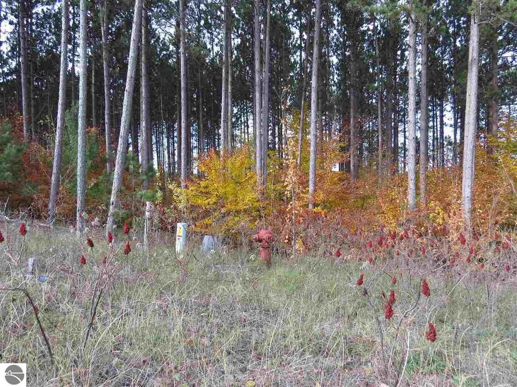 Image 3 of property listing at Lot 78 Eden Street, Kingsley, MI 49649