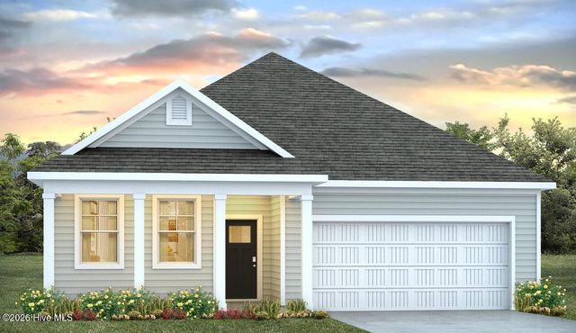 1113 Pampas Grass Drive Lot 292, Castle Hayne, NC 28429