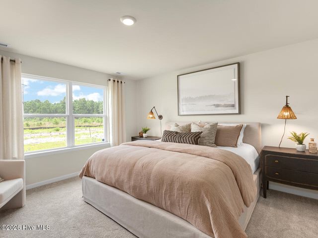 1113 Pampas Grass Drive Lot 292, Castle Hayne, NC 28429