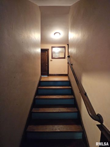 1027 N INSTITUTE Place, Peoria, IL 61606