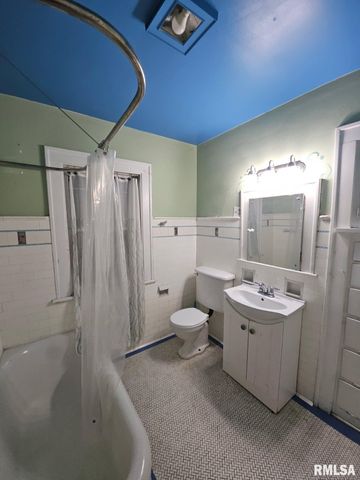 1027 N INSTITUTE Place, Peoria, IL 61606