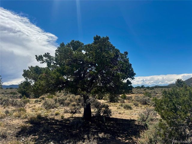 626 Slegers Rd, Fort Garland, CO 81133