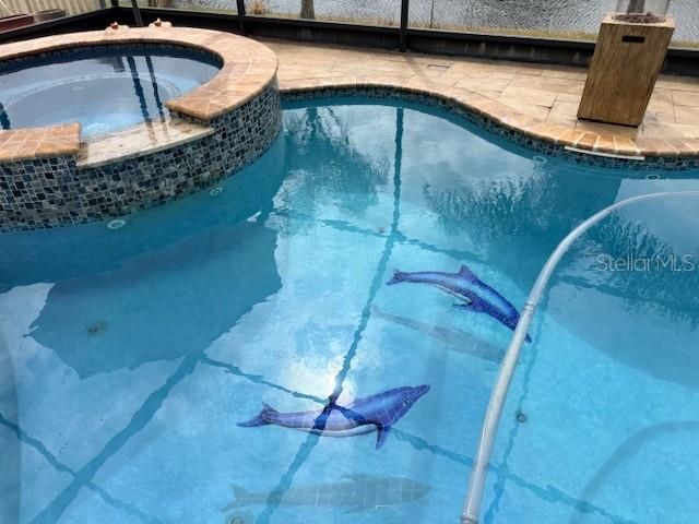 18116 SWEET JASMINE DRIVE, Tampa, FL 33647