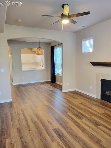 4223 Alder Springs View, Colorado Springs, CO 80922
