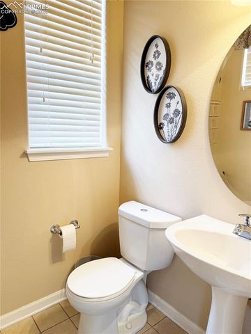 4223 Alder Springs View, Colorado Springs, CO 80922