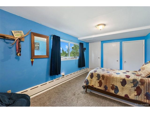 105 Piney Point Ln, Woodland Park, CO 80863