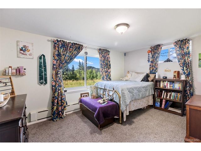 105 Piney Point Ln, Woodland Park, CO 80863