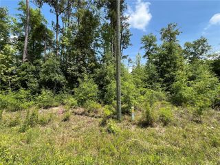 TBD MAGNOLIA LANE, Marianna, FL 32448
