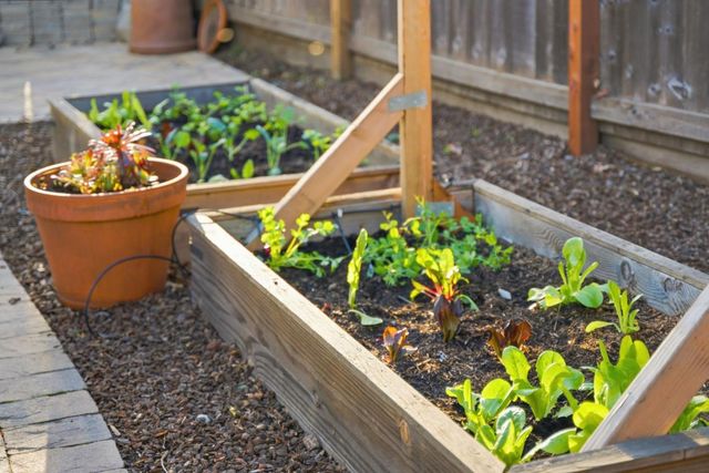 957 E Grant Place, San Mateo, CA 94402