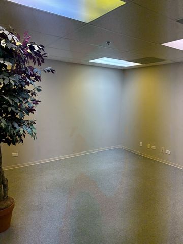 1001 E Chicago Avenue 111, Naperville, IL 60540