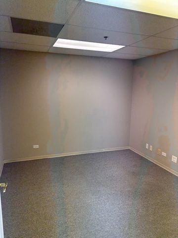 1001 E Chicago Avenue 111, Naperville, IL 60540