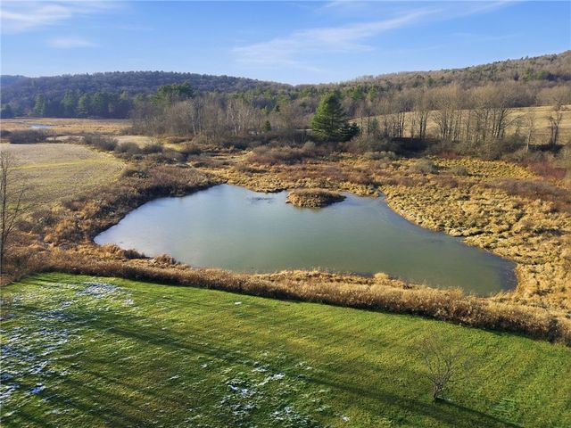 399 Beaver Meadow Road, Middlefield, NY 13326