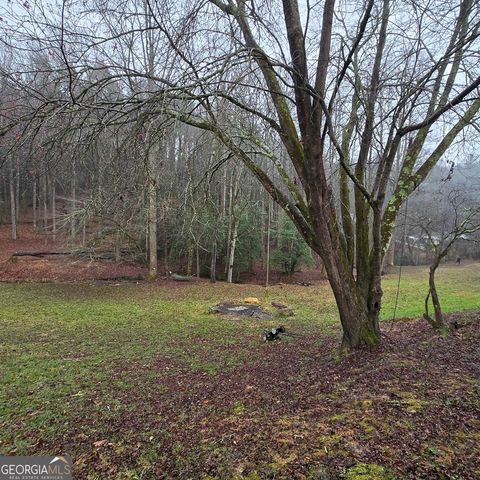 5134 Boardtown Road, Ellijay, GA 30540