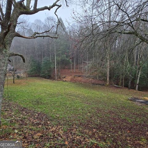 5134 Boardtown Road, Ellijay, GA 30540