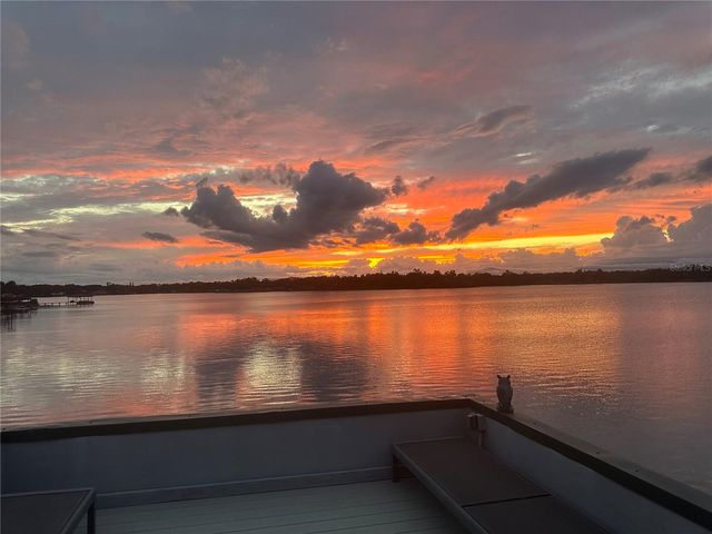 14906 N ROME AVENUE, Tampa, FL 33613